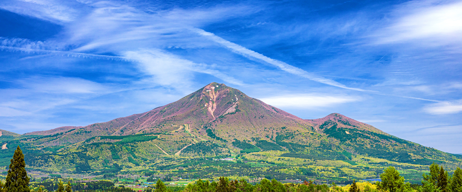 会社概要 メインビジュアル