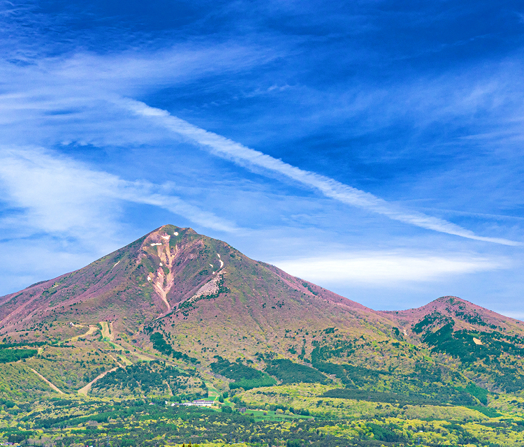 会社概要 メインビジュアル