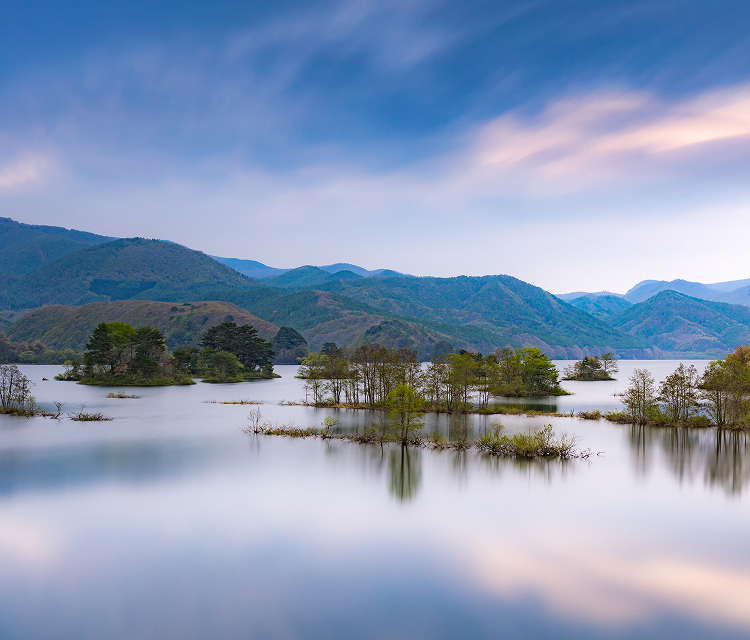 新着情報 メインビジュアル