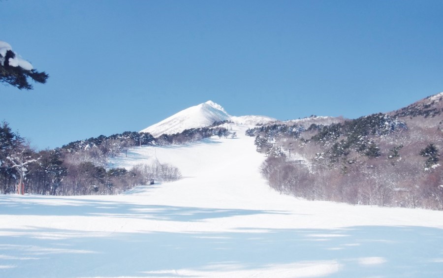 東京・水戸・つくば発 1.5泊猪苗代スキーツアー