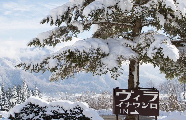 ヴィライナワシロ