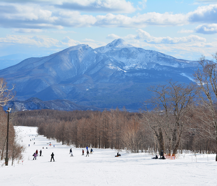 受注型企画旅行 画像