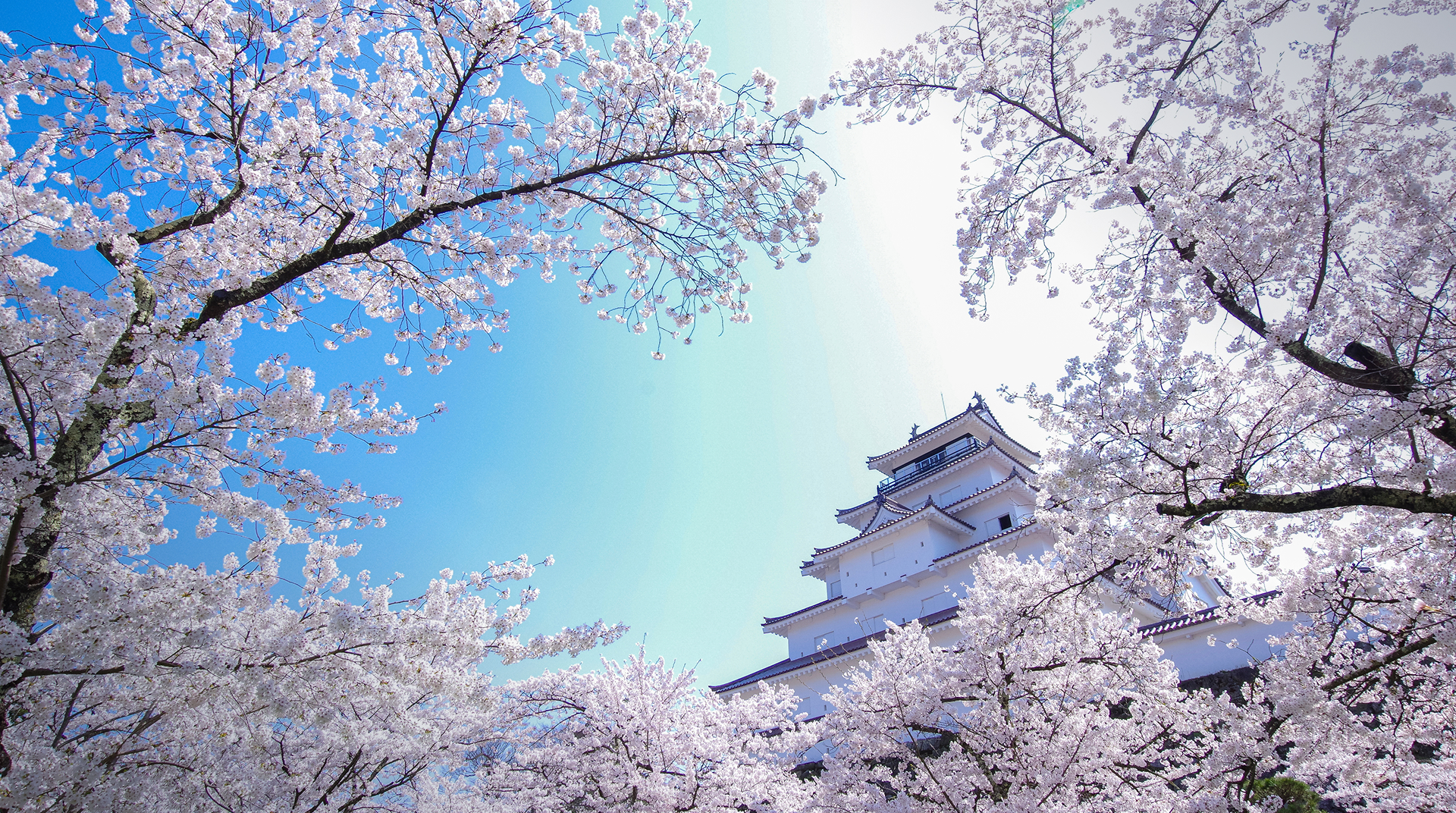 DMCトラベル 鶴ヶ城 画像