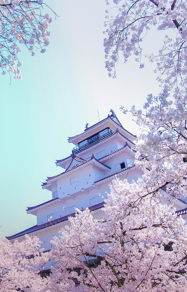 DMCトラベル 鶴ヶ城 画像